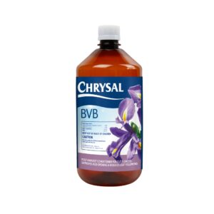 Chrysal BVB