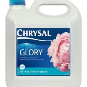 Chrysal Glory